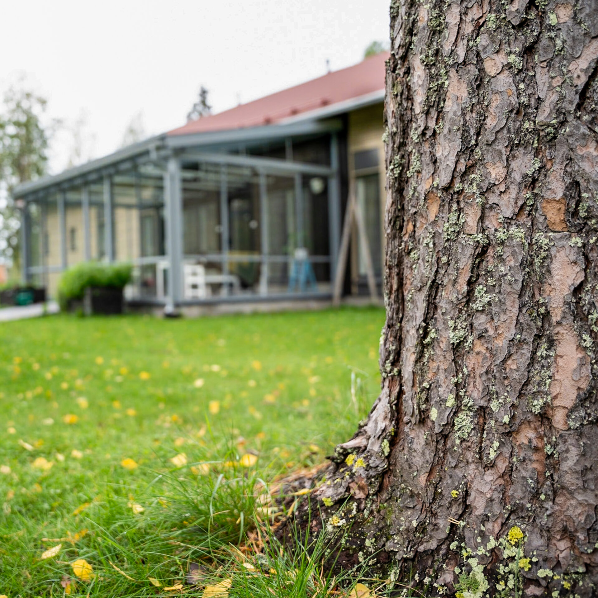 Ymp rivuorokautinen Palveluasuminen Varpunen
